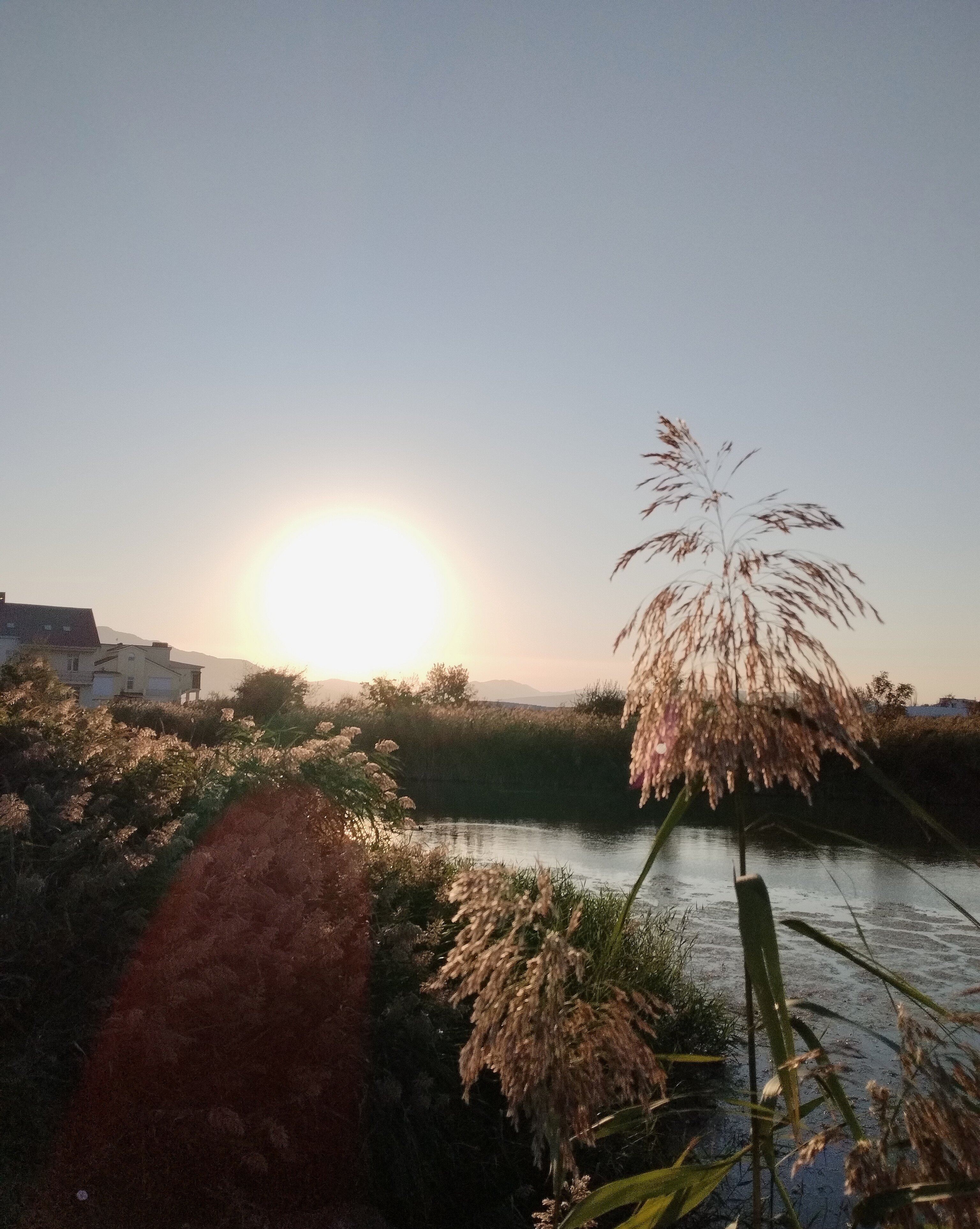 Фото Конфетти