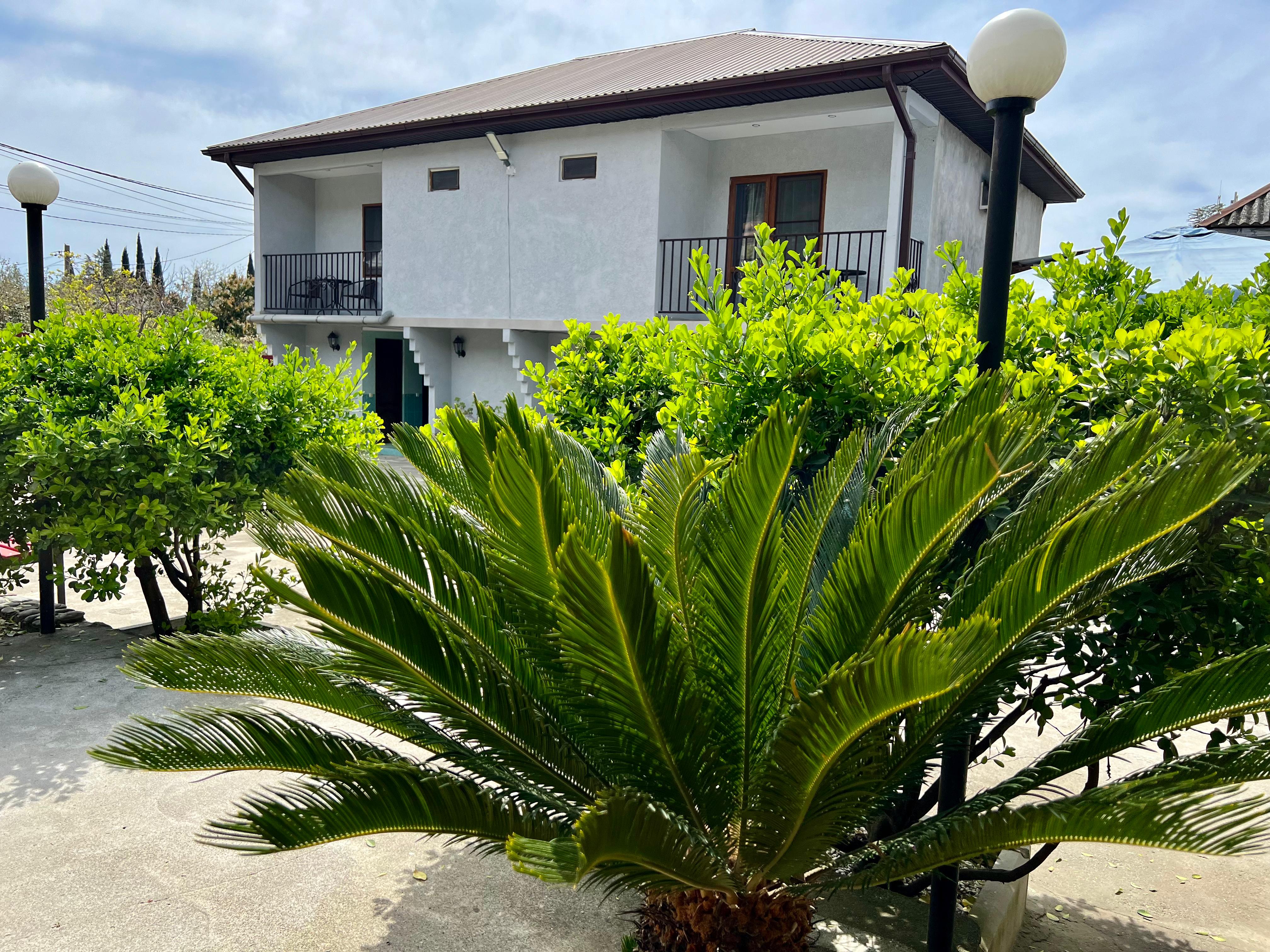 Фото Стрелец