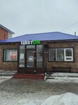 ЦветОк (Pavla Ivanova Street, 7Б), floristeria