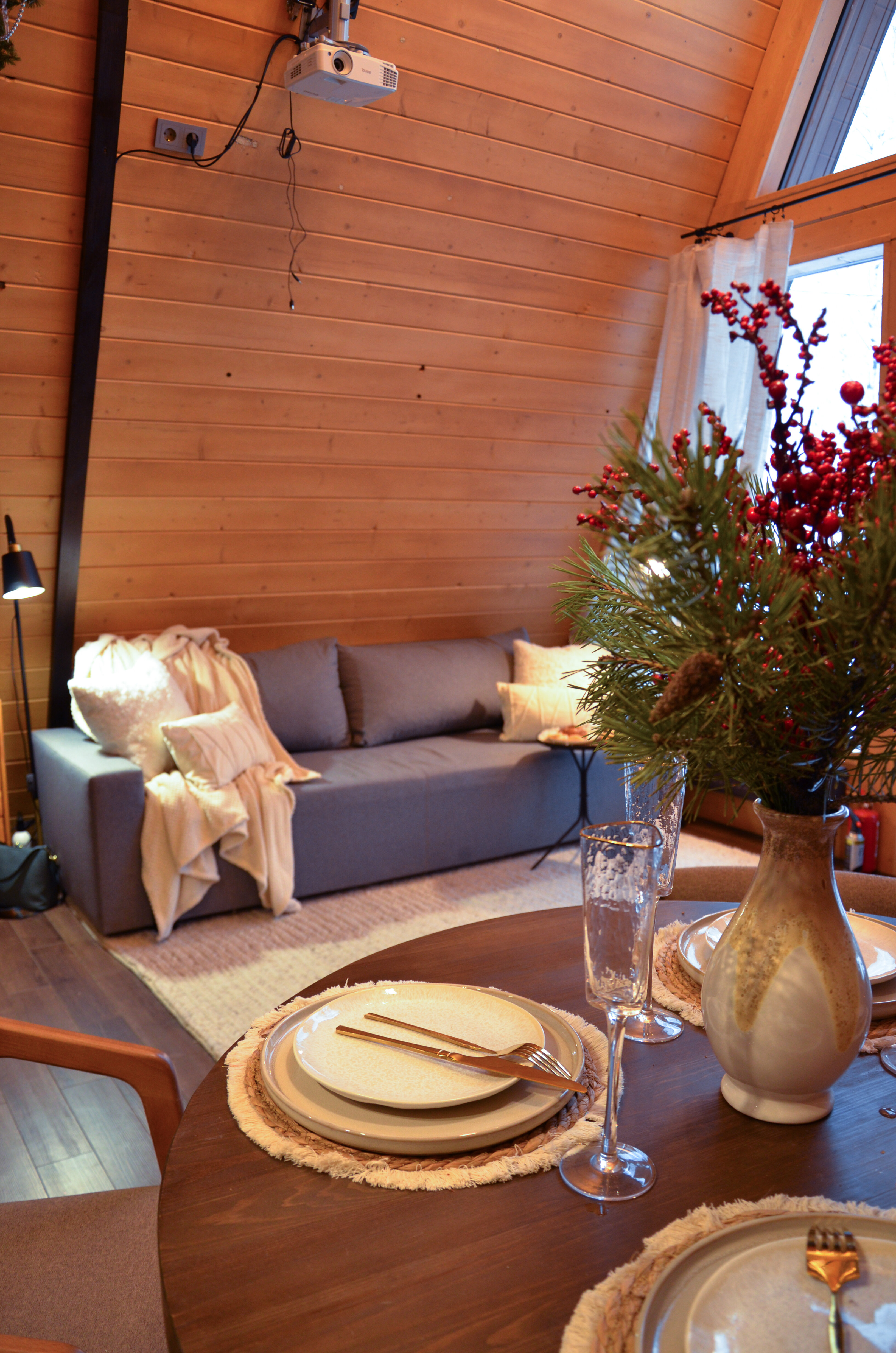 Фото Шишки Парк