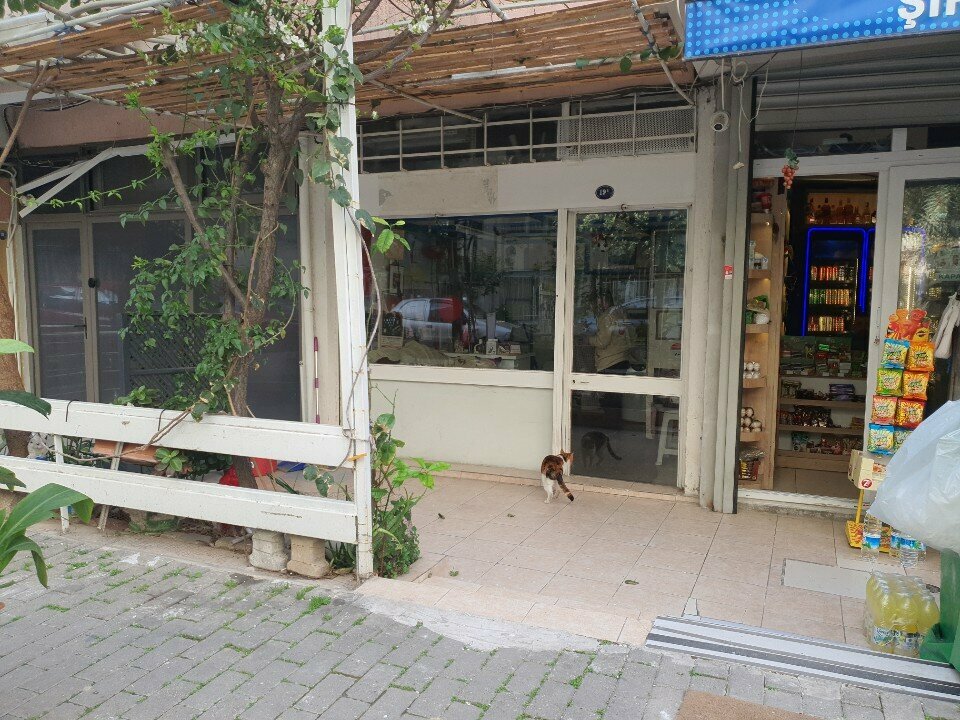 Boat tours Karagoz Boat Tour, Izmir, photo