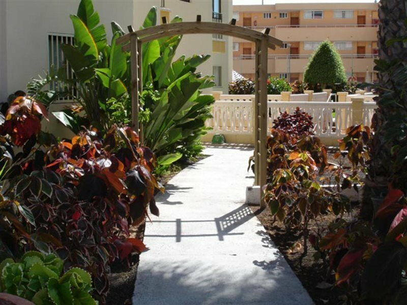 Фото Apartamentos Los Ficus