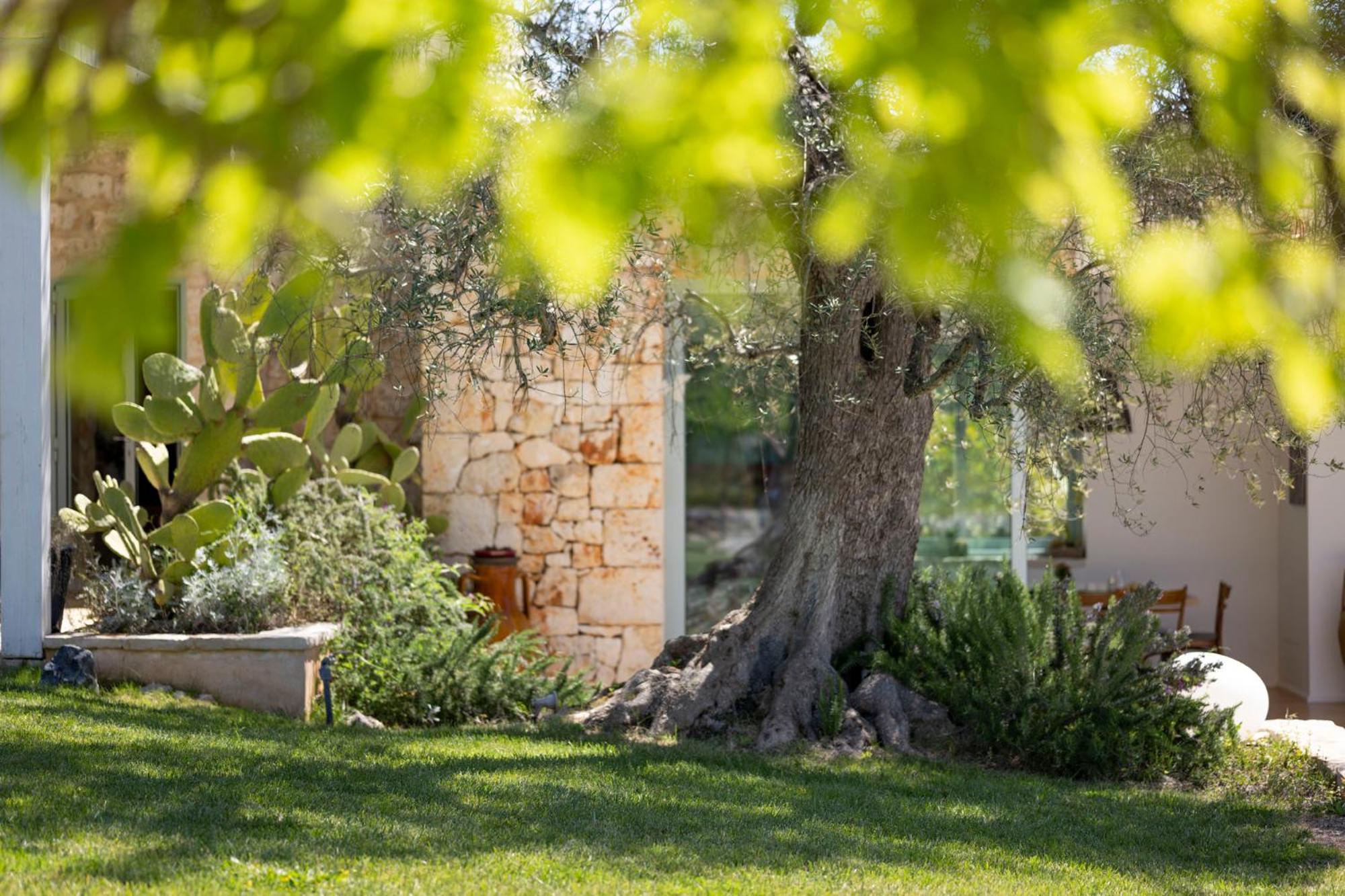 Фото Ostuni Art Resort