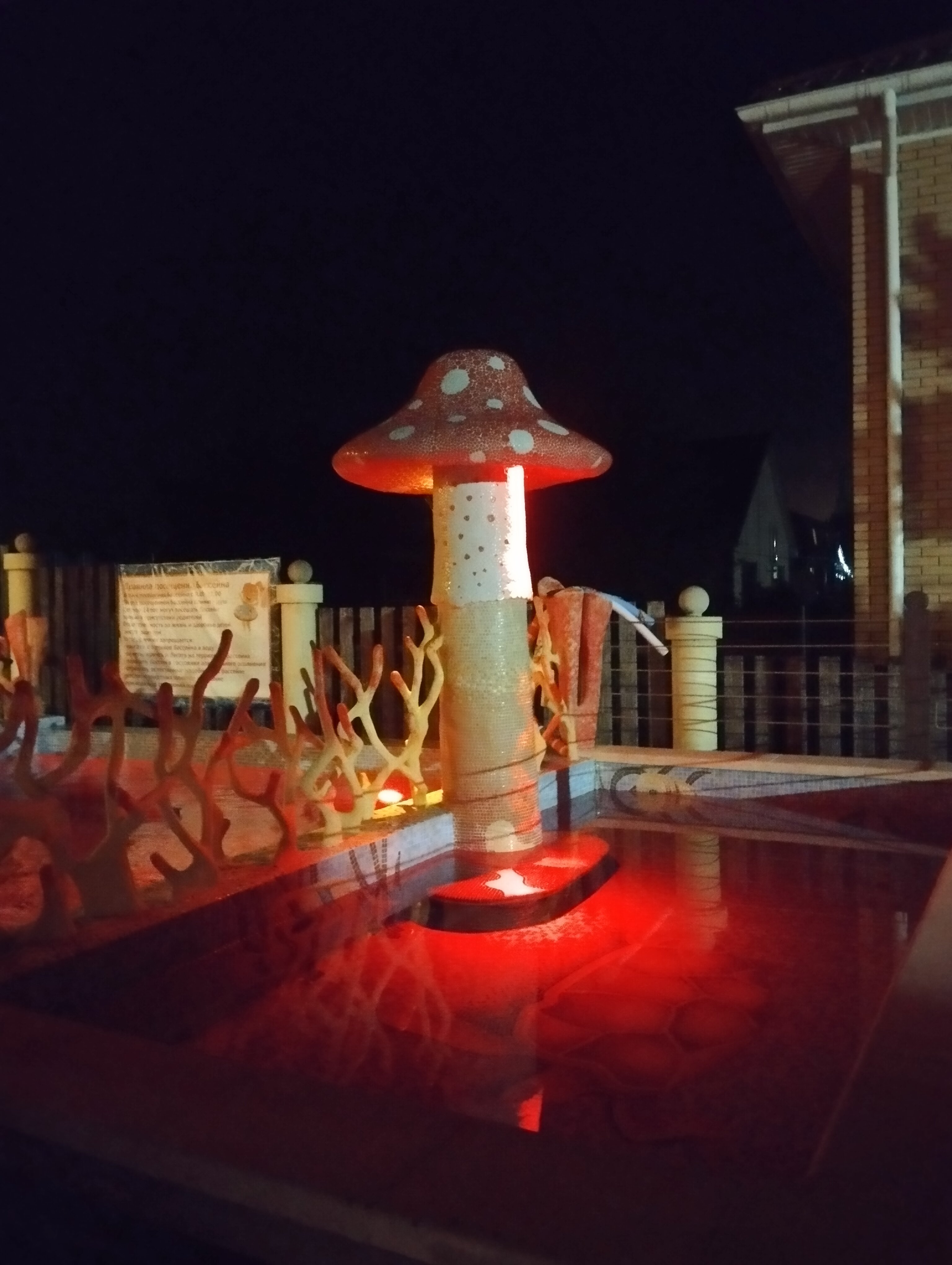 Фото В долине