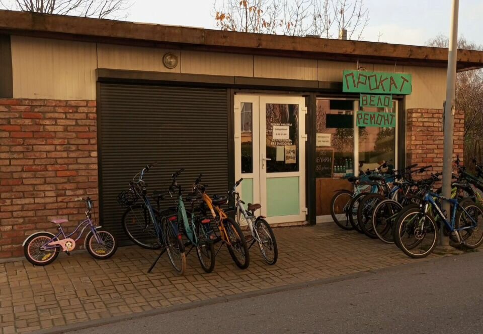 Bike rental Велопрокат, Zelenogradsk, photo