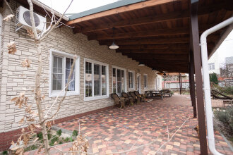 Фото Серый кот