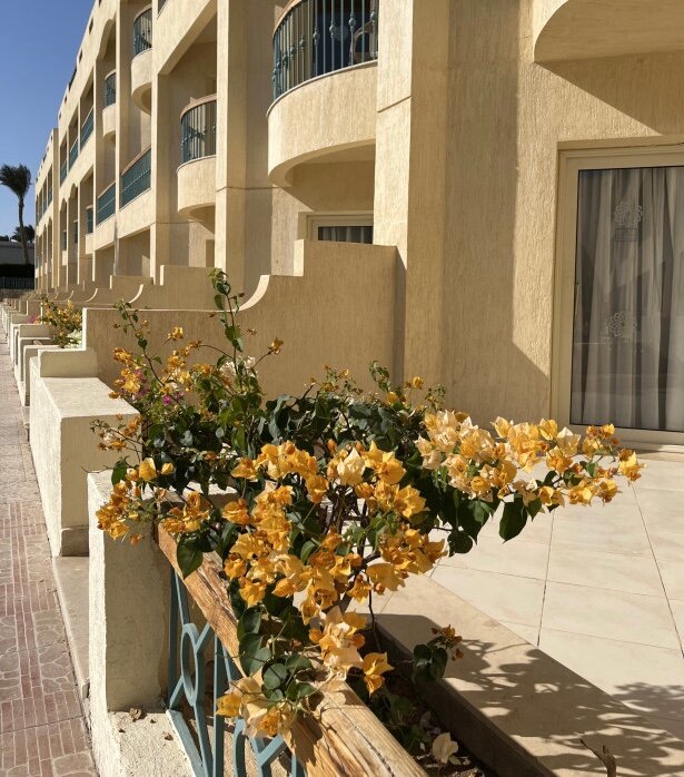 Фото Aurora Oriental Resort