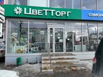 ZveTTorg (Novo-Sadovaya Street, 381к1), flower shop