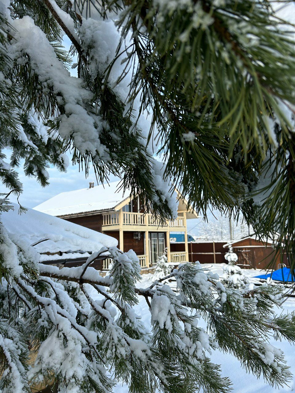 Фото Джан Туган