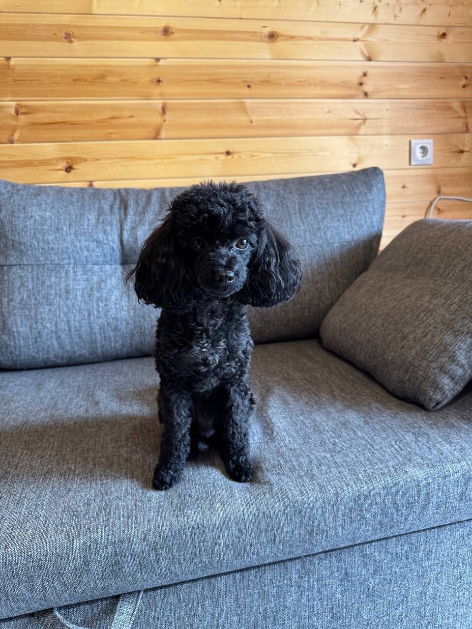 Фото Куршавель