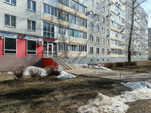 Sevgan qizimni yechintirib siktirdim.