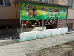 Мадагаскарик (Varshavskaya ulitsa, 4) ، مركز الرعاية النهارية، رياض الأطفال