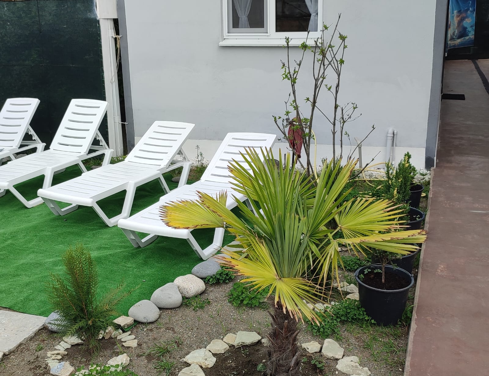 Фото Мыс Сухума