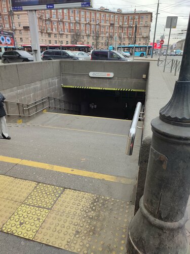 Бала туылғанға дейінгі және кейінгі кисканың фотосуреттерін көрсетіңіз