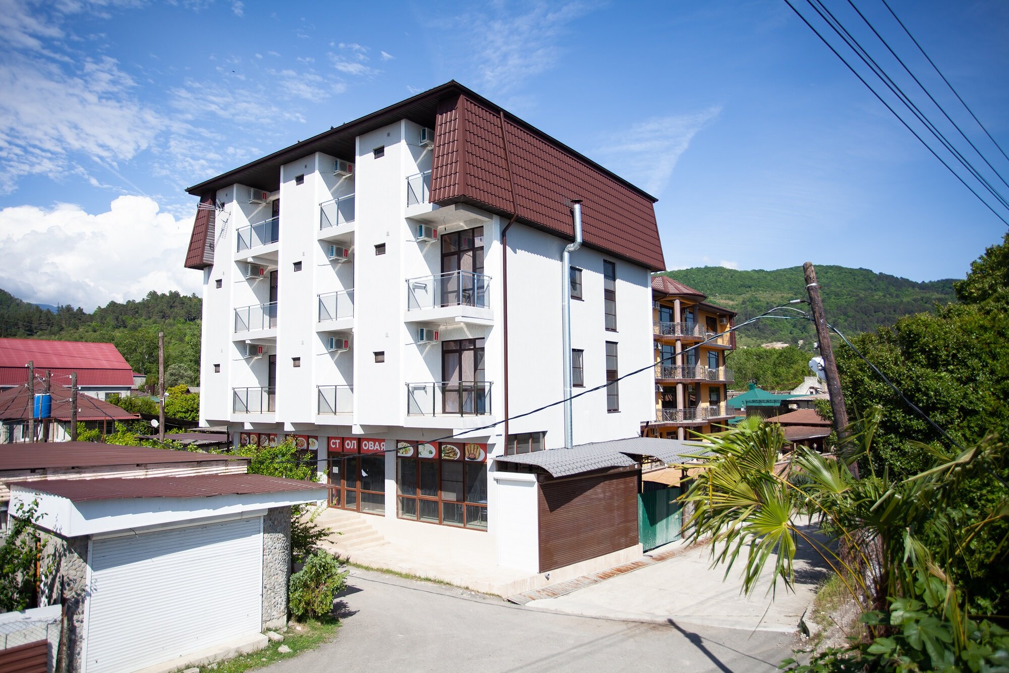 Фото Коралл