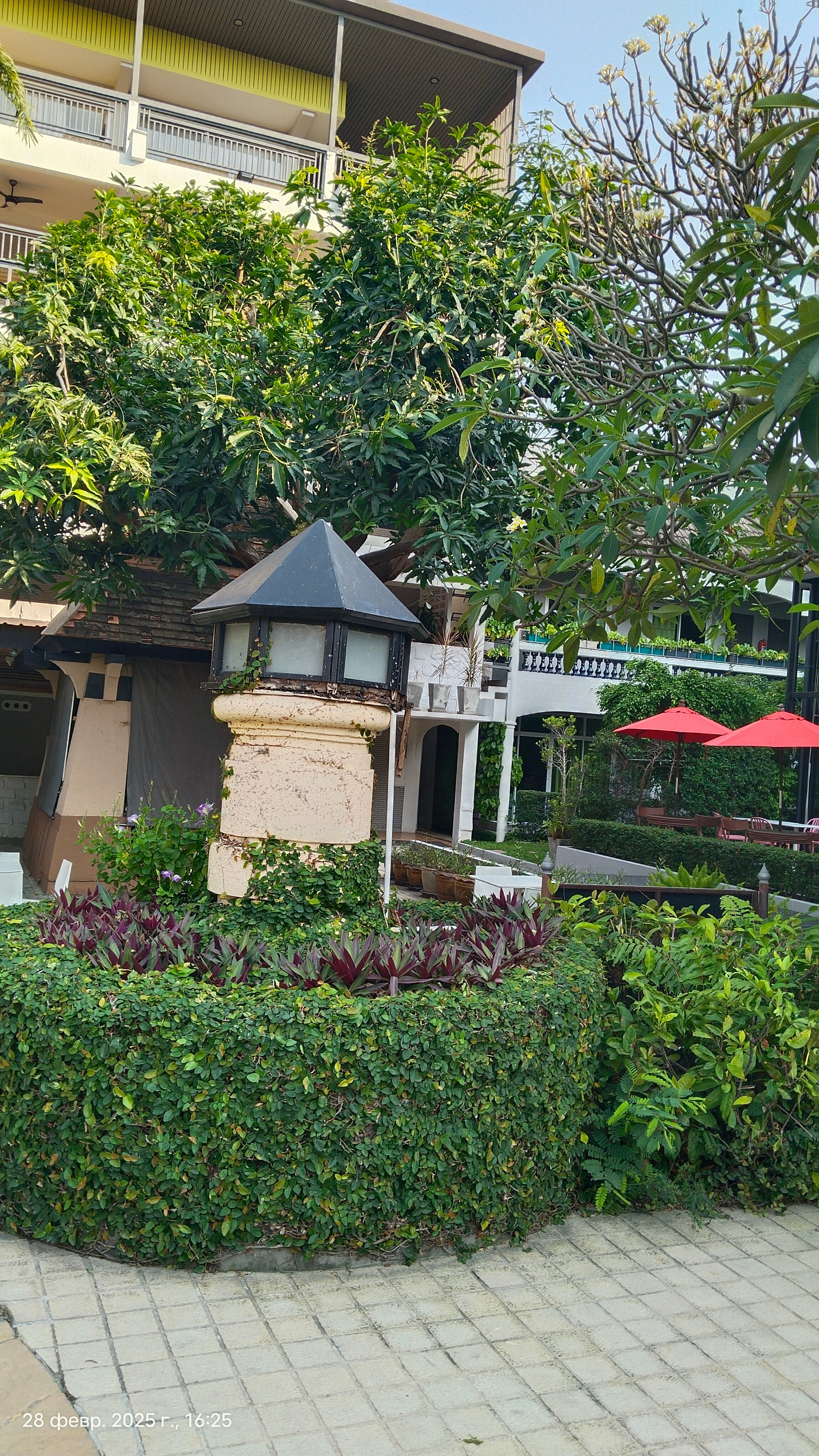 Фото Lantana Pattaya Hotel & Resort