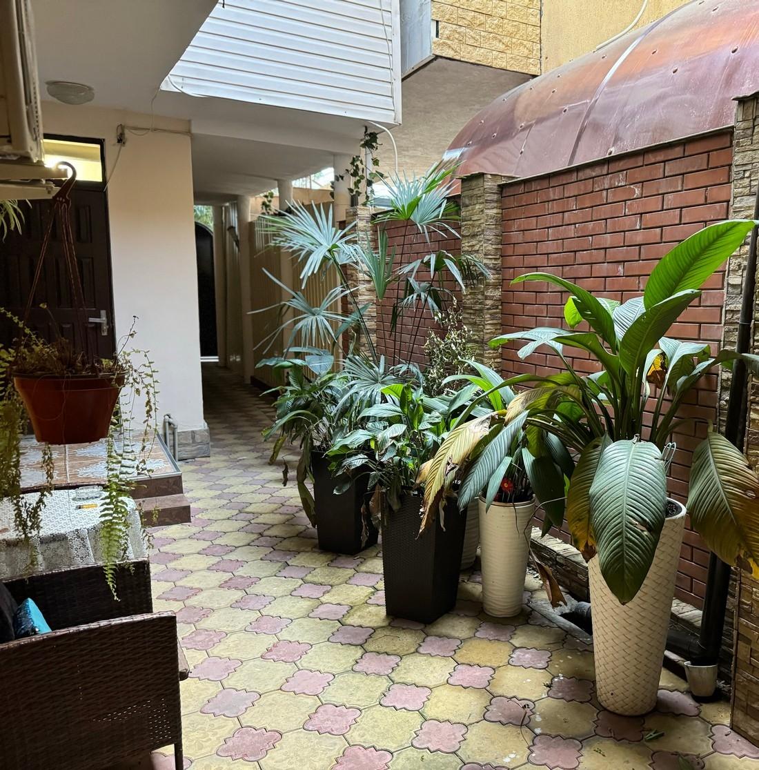 Фото Кармен