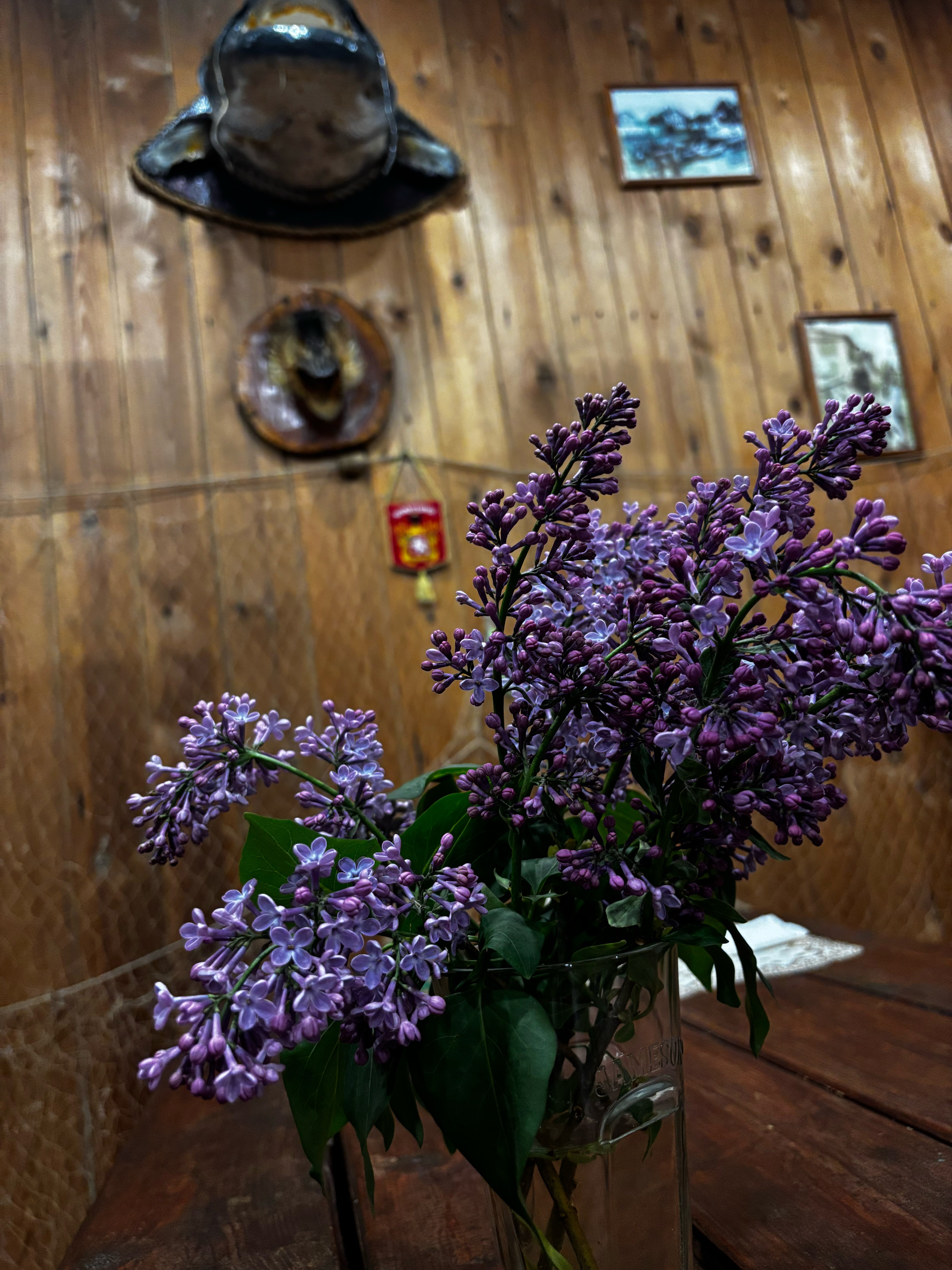 Фото Олигри Fish