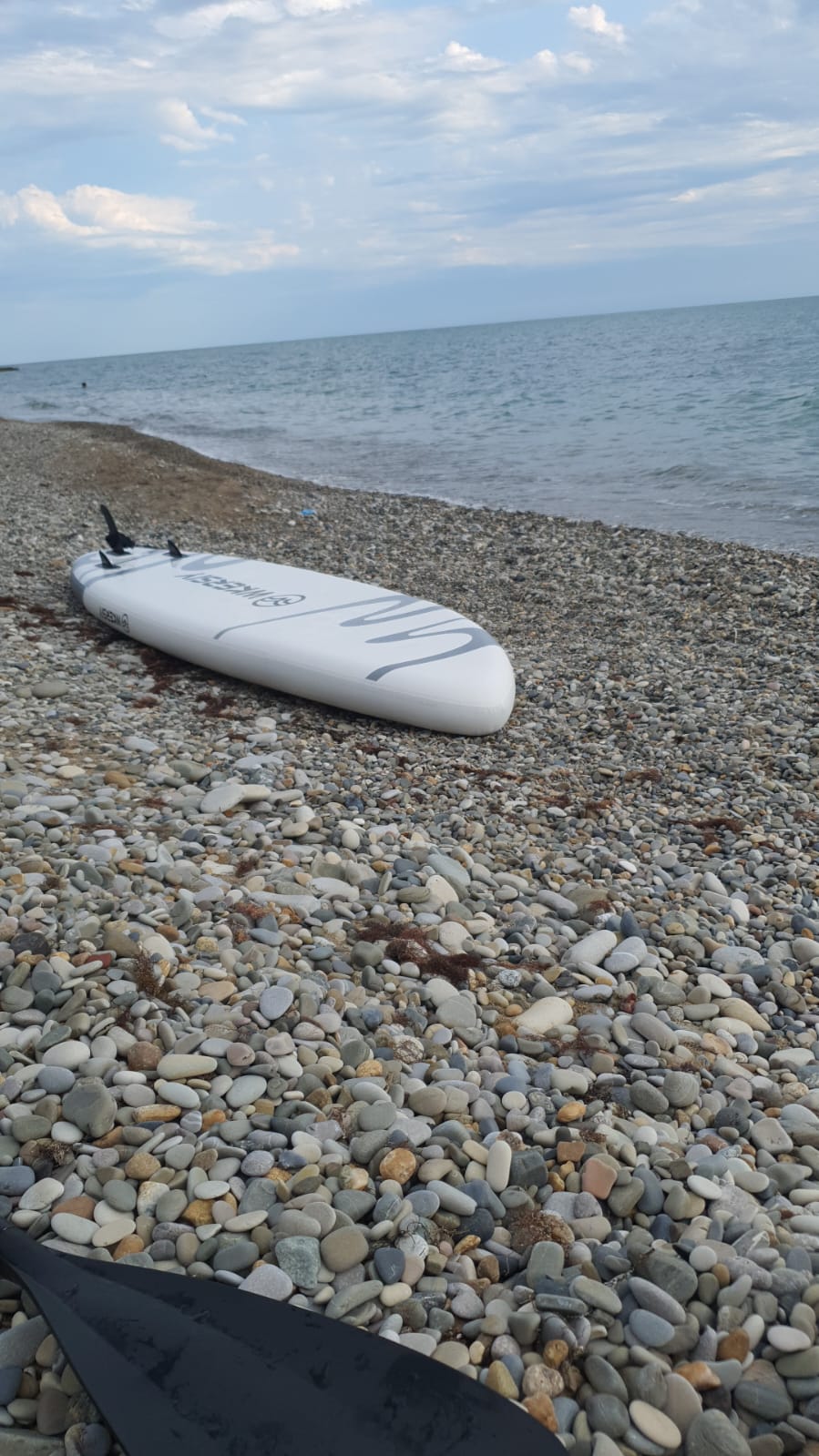 Фото Ланселот