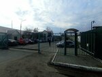 Anticor (Simonenkova Street, 10Б), metalwork