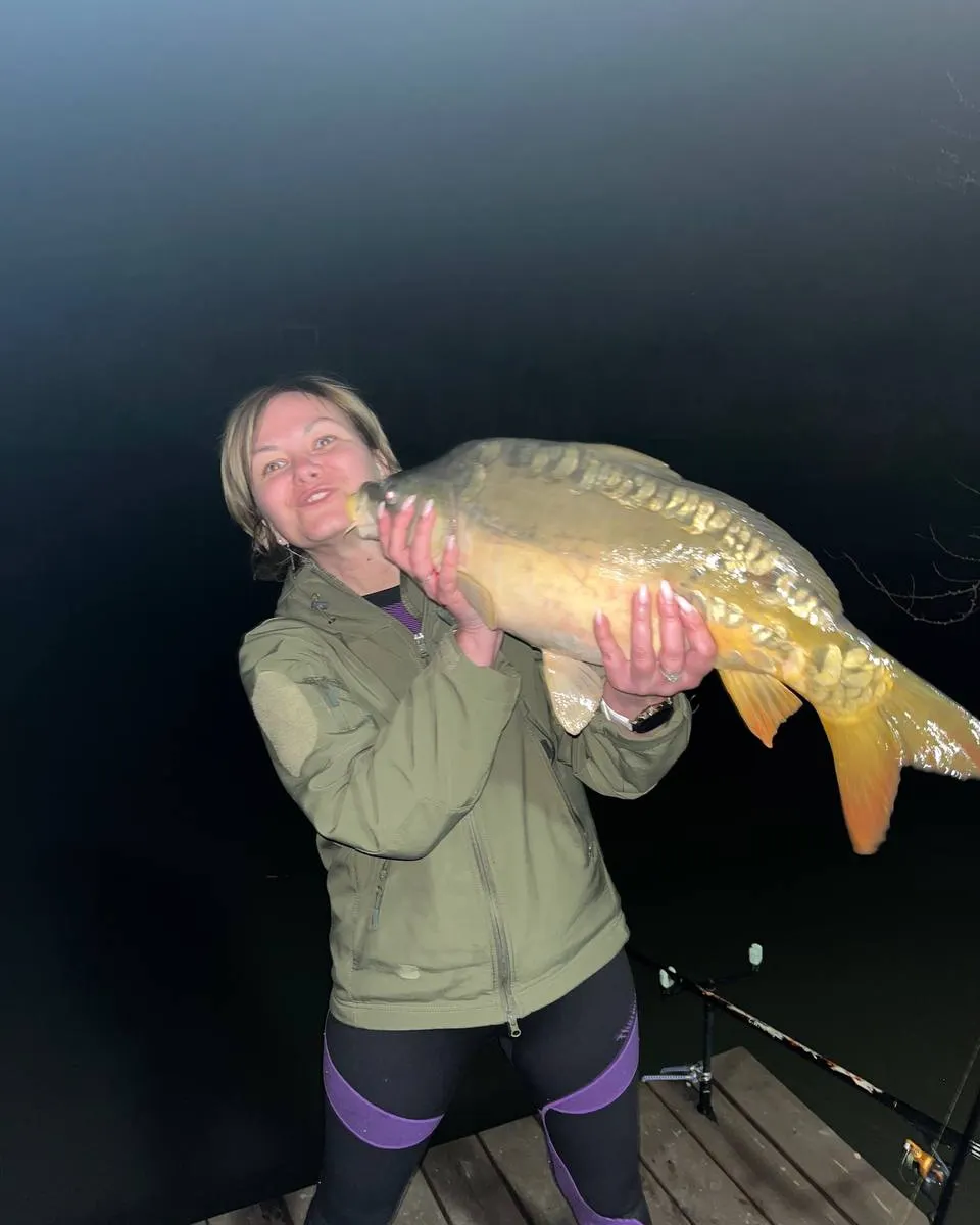 Фото Соловьиная роща