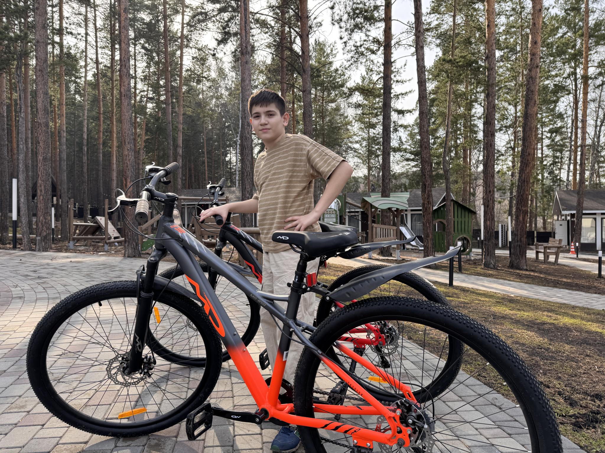 Фото Клевер