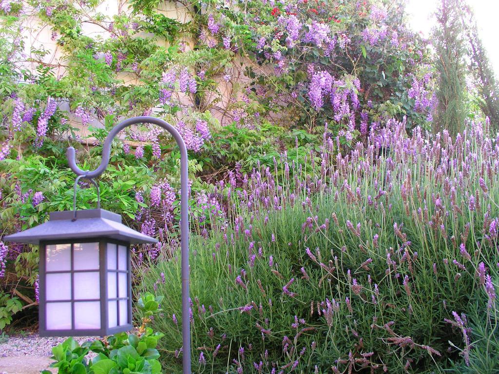 Фото Hotel Rural San Miguel - Only Adults