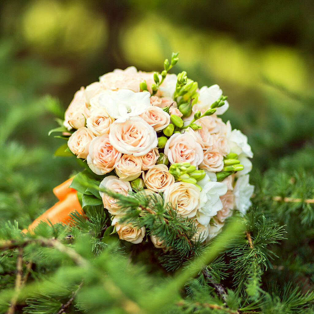 Flowers and bouquets delivery Moyses Stevens, Dubai, photo