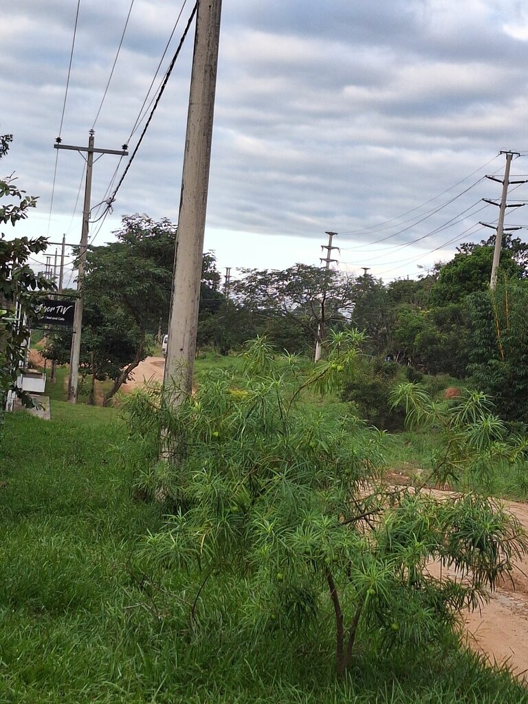 Restaurant Amortw, Earth, photo