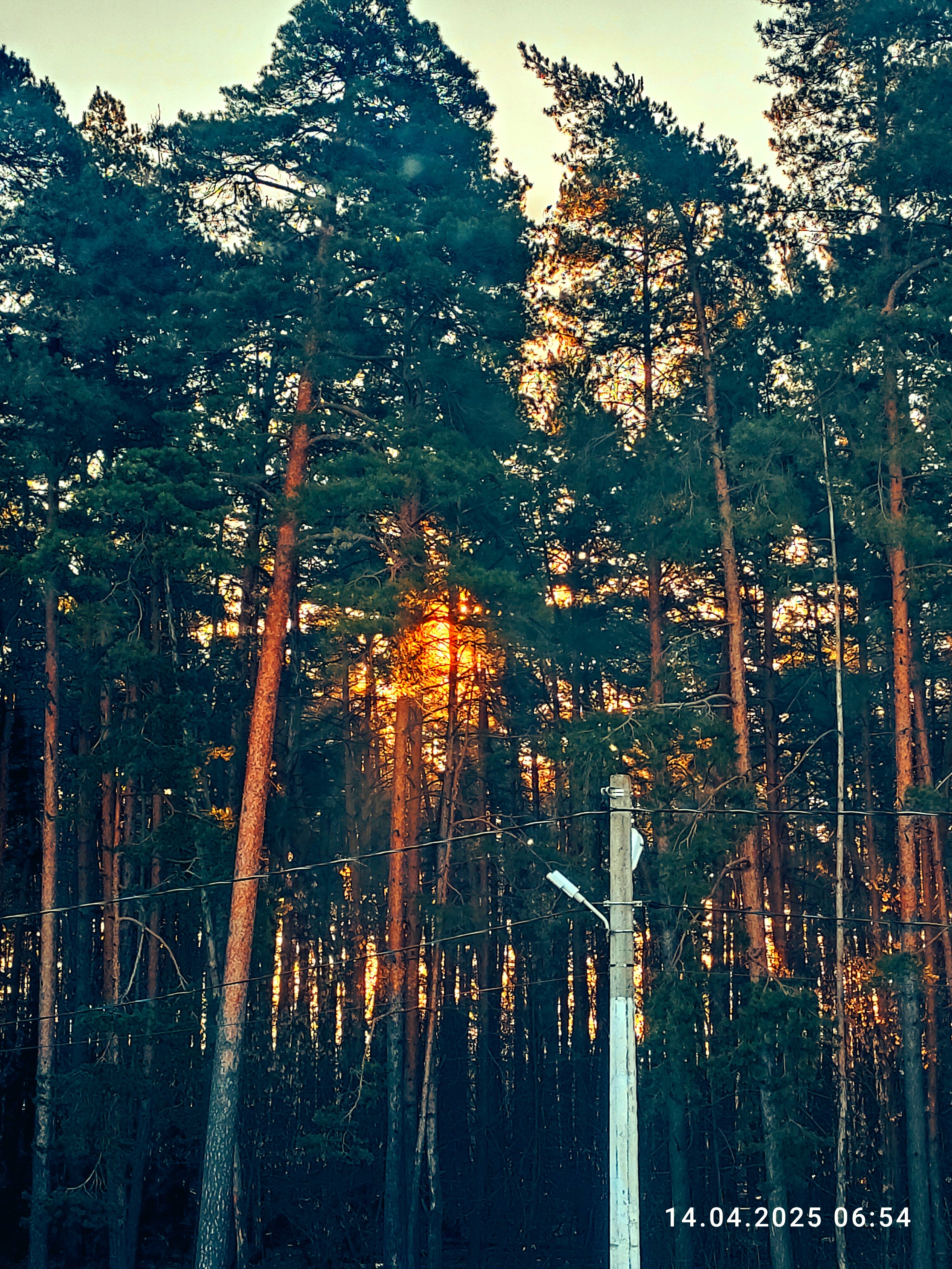 Фото Везендорф Раменское 