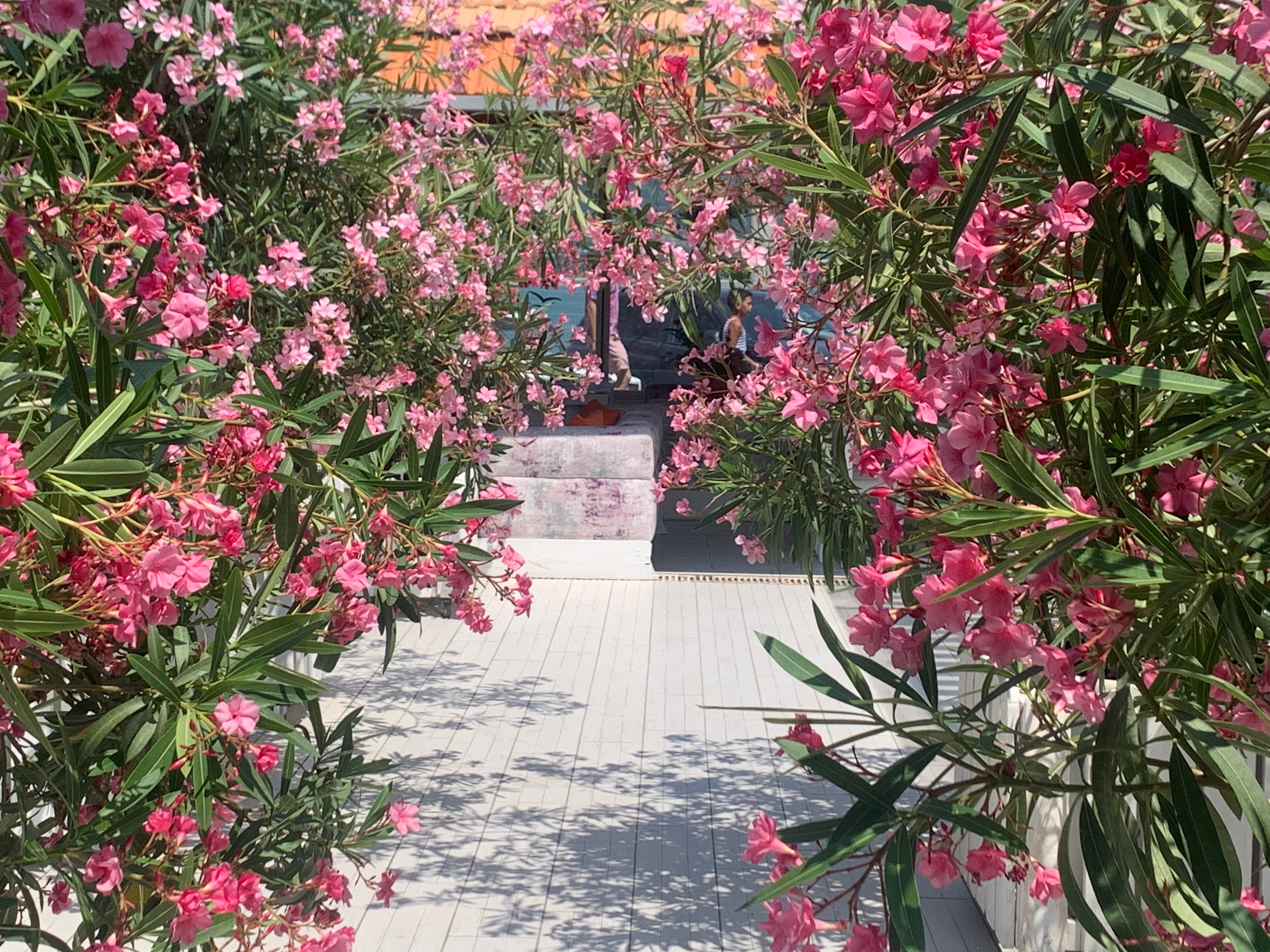 Фото Людмила