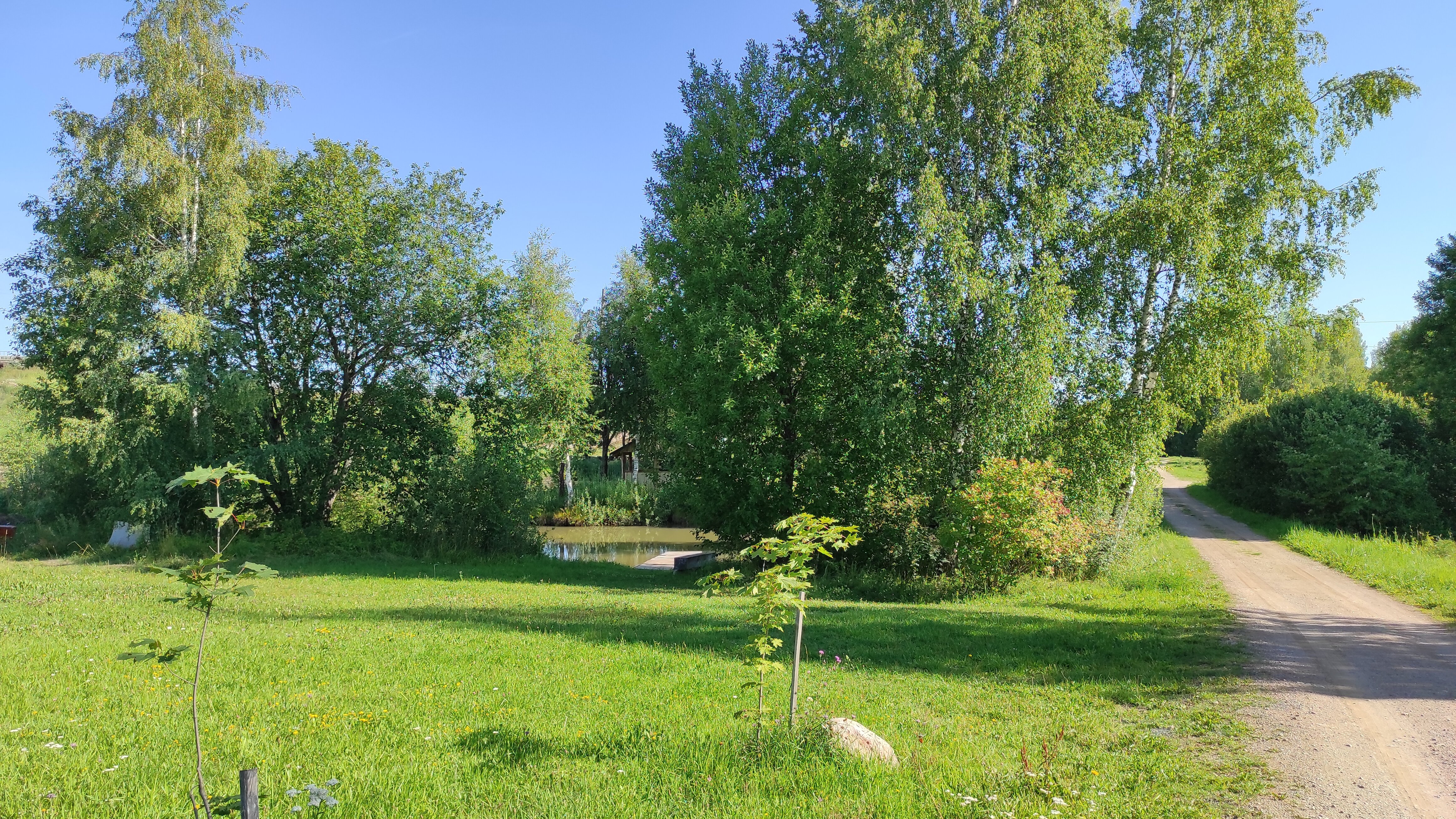 Фото Березовый хутор