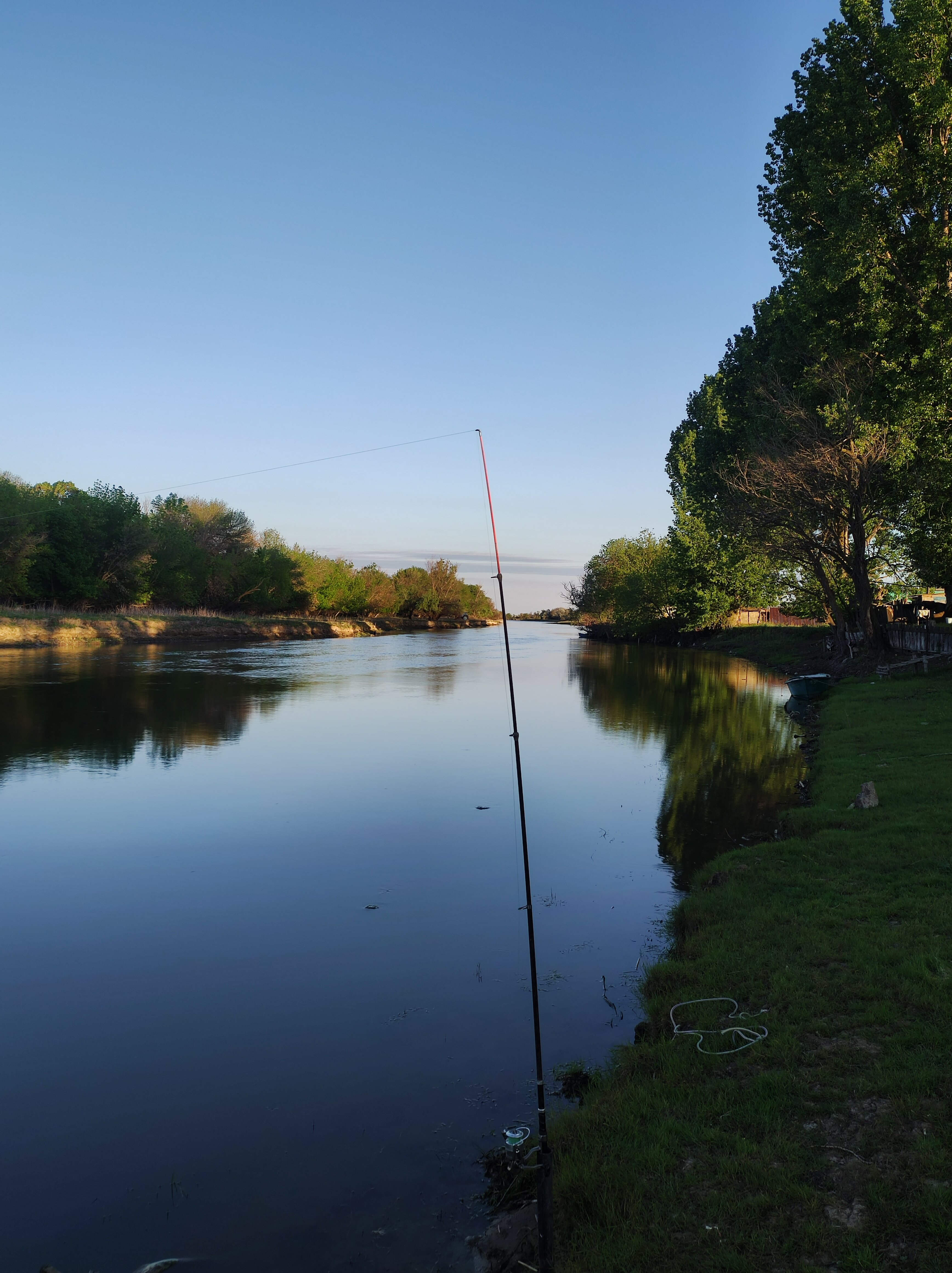 Фото Тополь - Эм