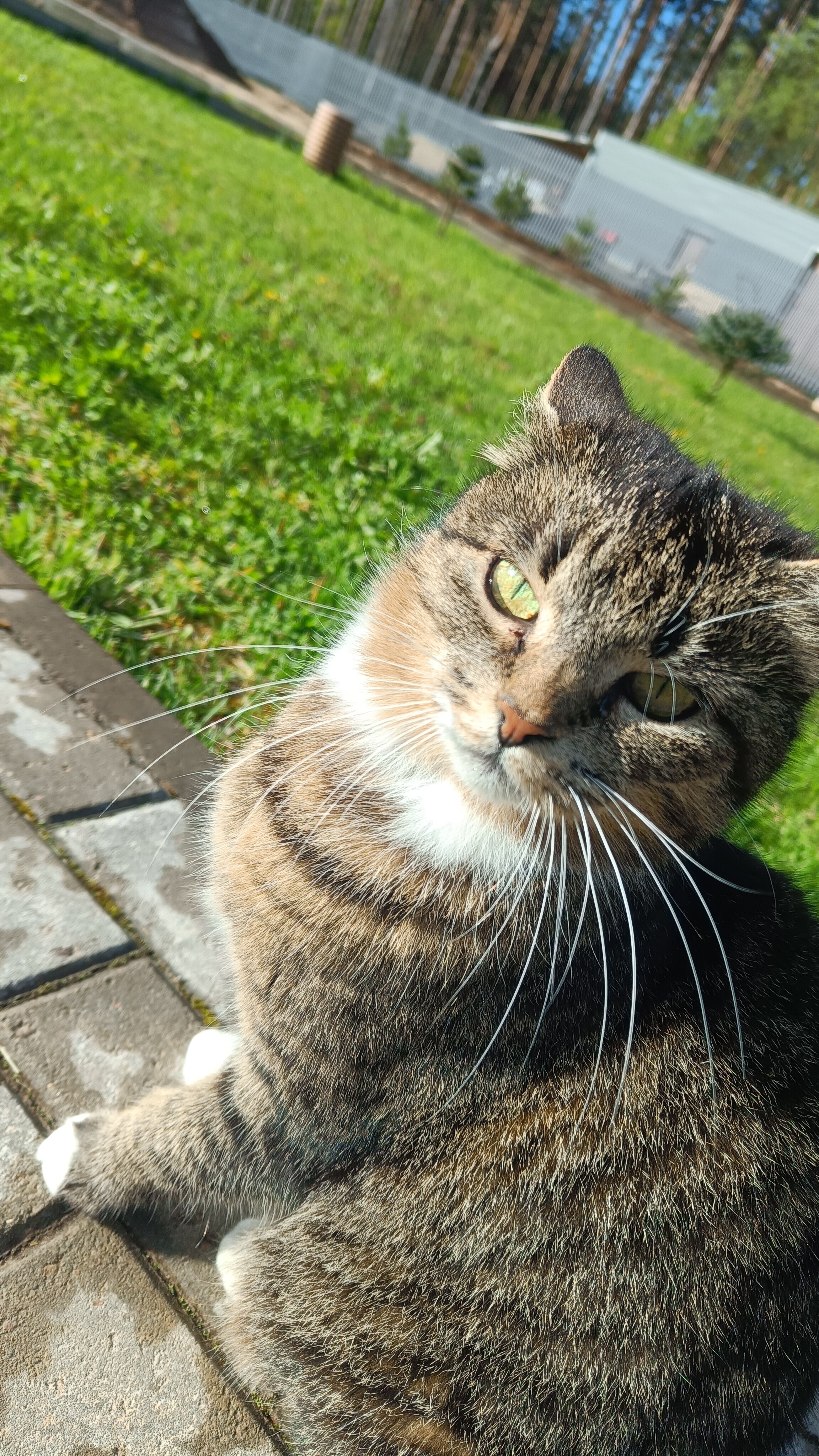 Фото Хуторок