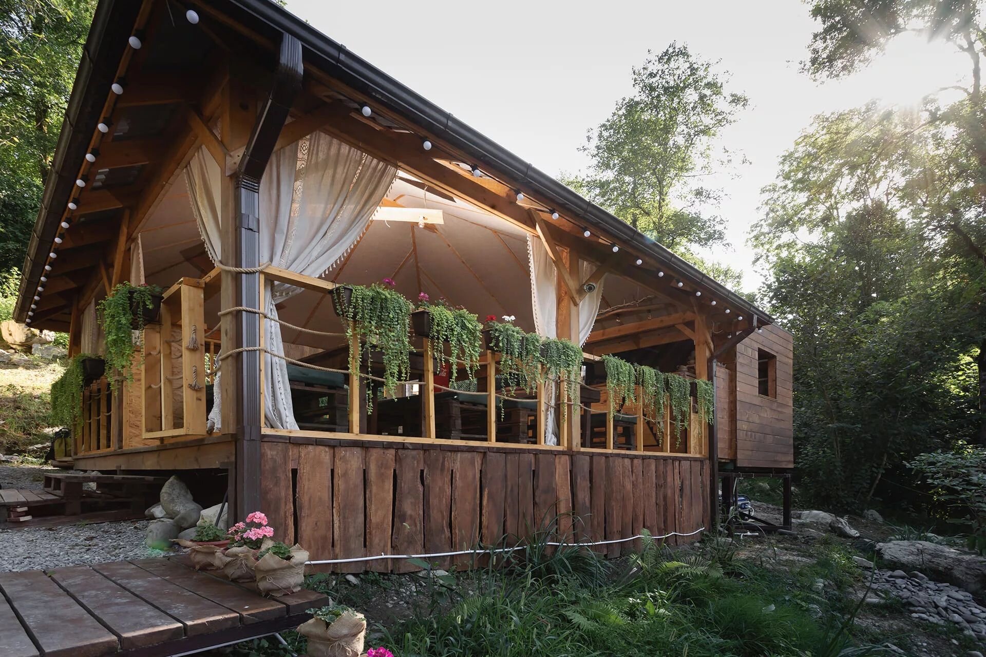 Фото Южный Вайб Древо