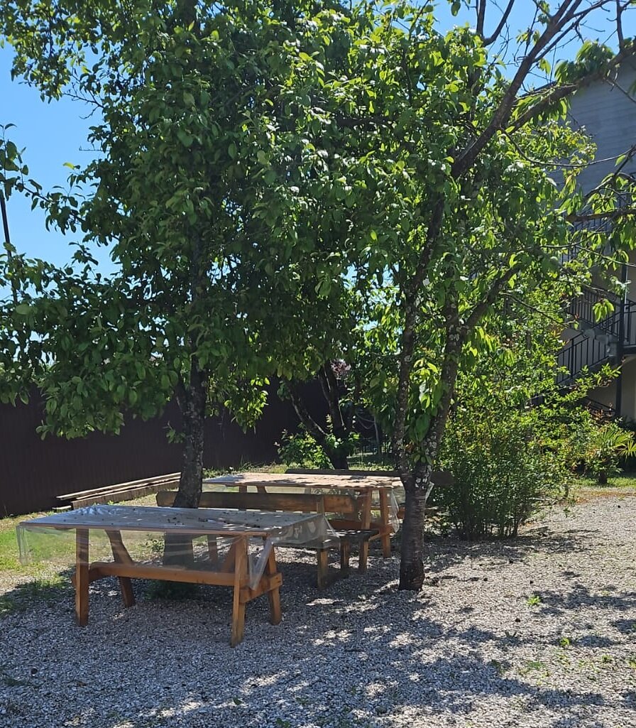 Фото Акварель