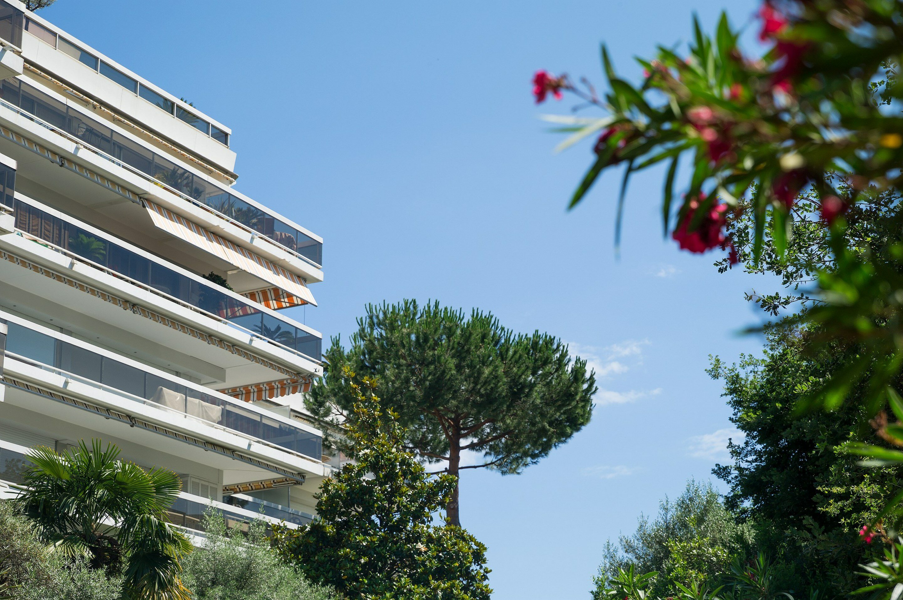 Фото Pierre & Vacances Résidence La Rostagne