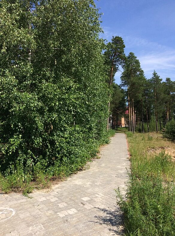 Фото Таёжная