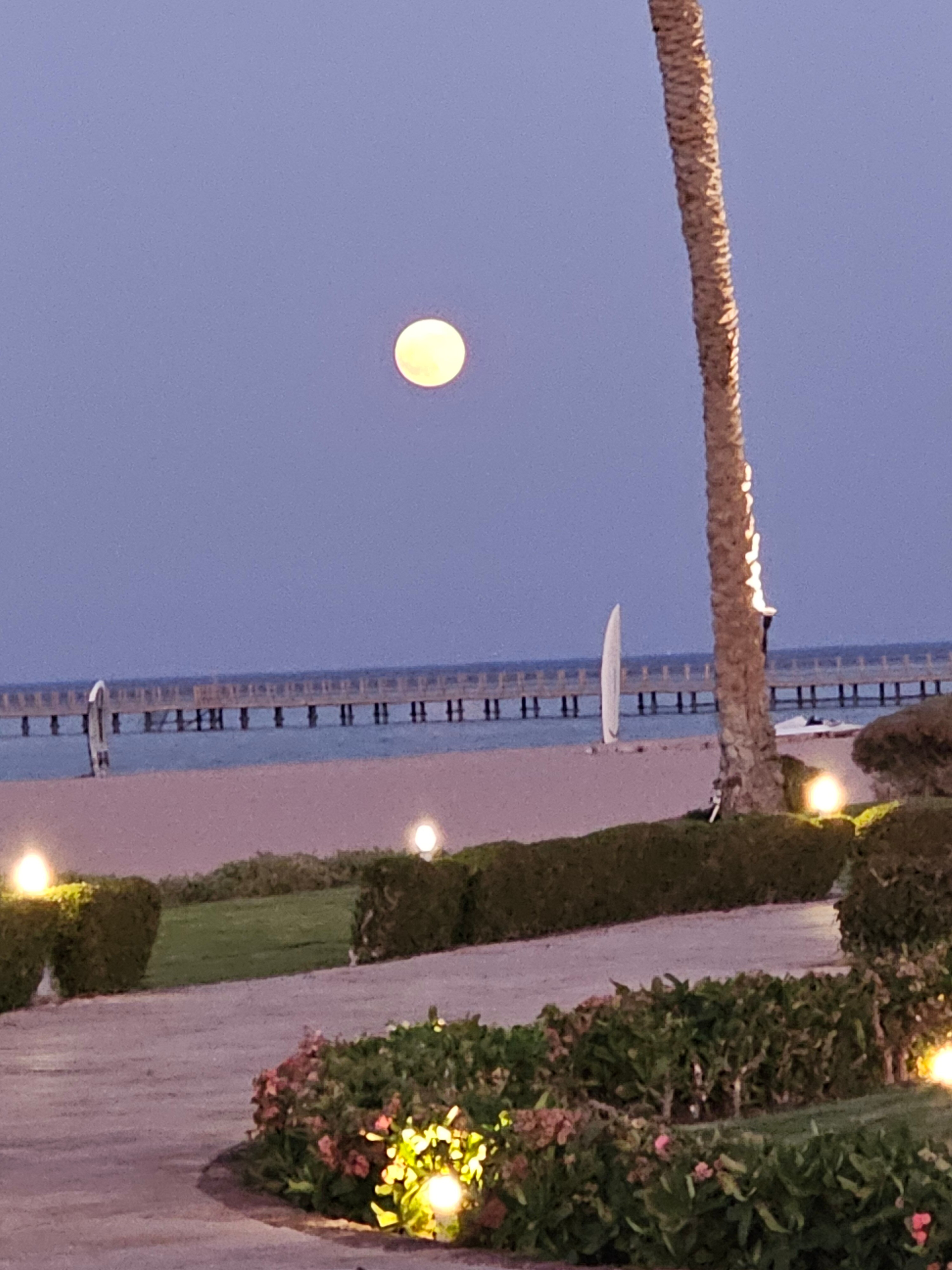 Фото Barceló Tiran Sharm