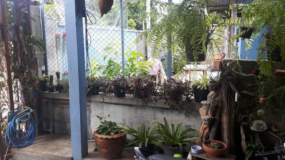 Фото Canaan Guesthouse