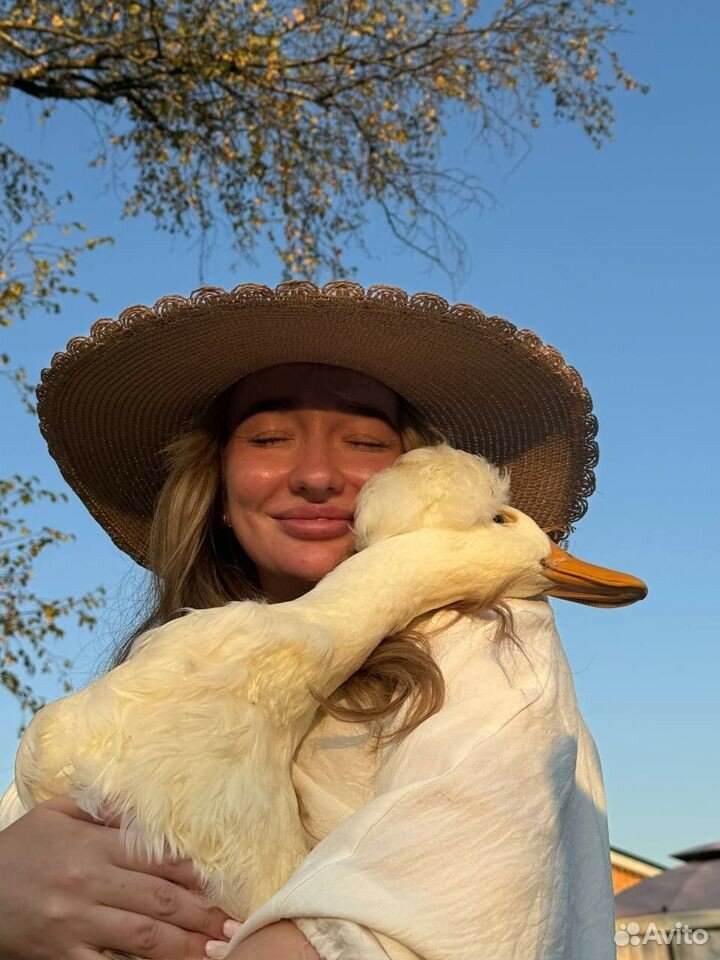 Фото Семейная мини-ферма Фазенда