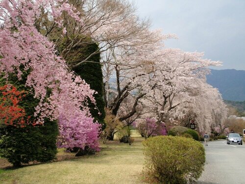 Гостиница Kawaguchiko Pension Woodstock