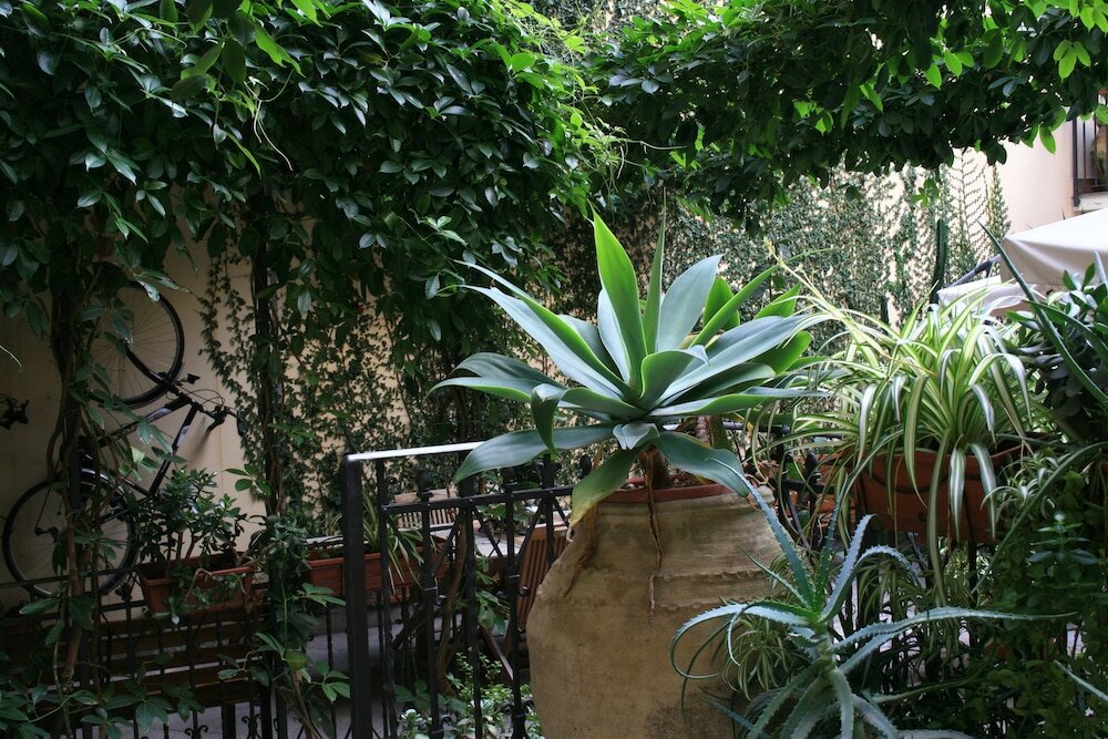 Фото Casa Barbero Charme