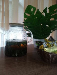 Vizit (Kosogornaya ulitsa, 33), hotel