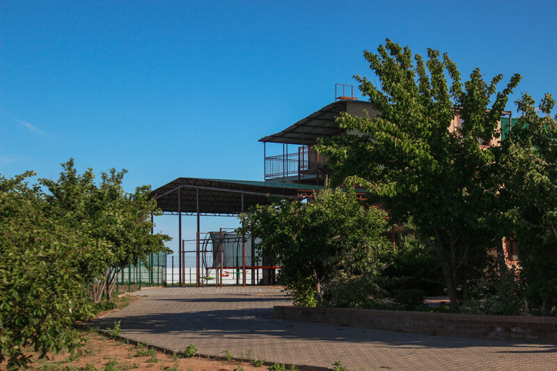 Фото Ветлянка