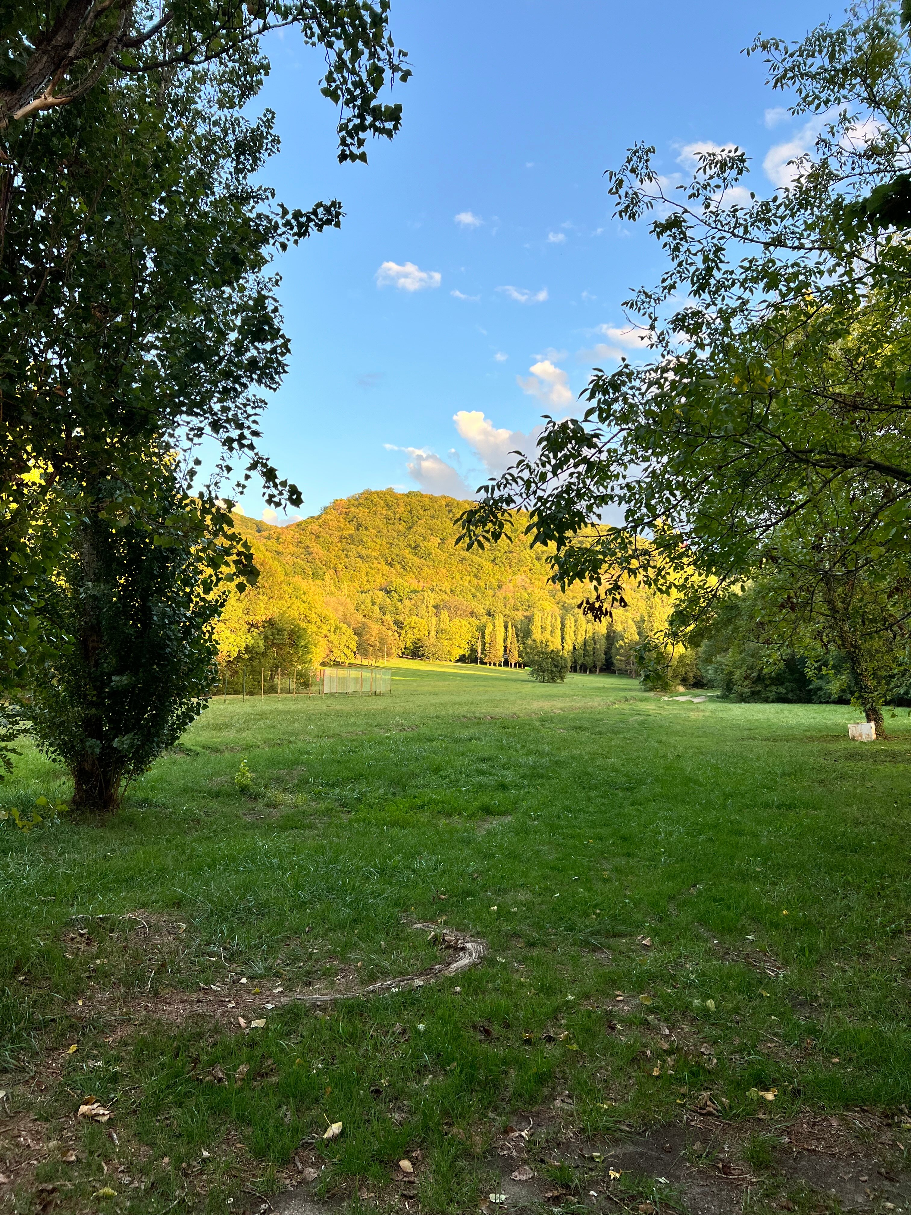 Фото Криница апарт