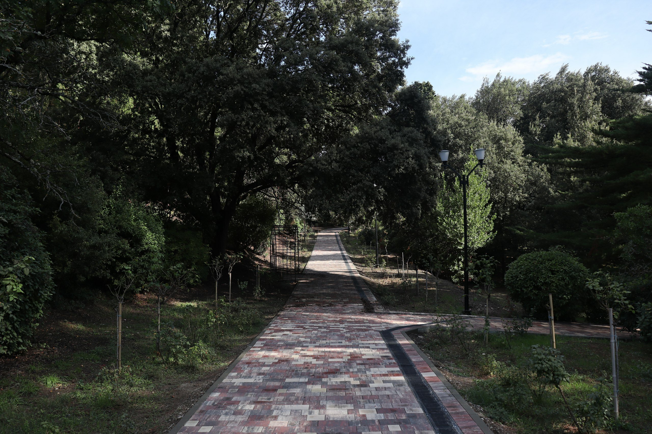 Фото Рапана