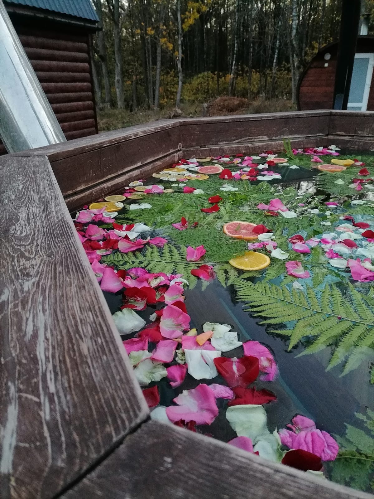 Фото Наргиз