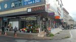 Can Floristry (Istanbul, Umraniye, Alemdag Avenue, 585B) ، محل زهور