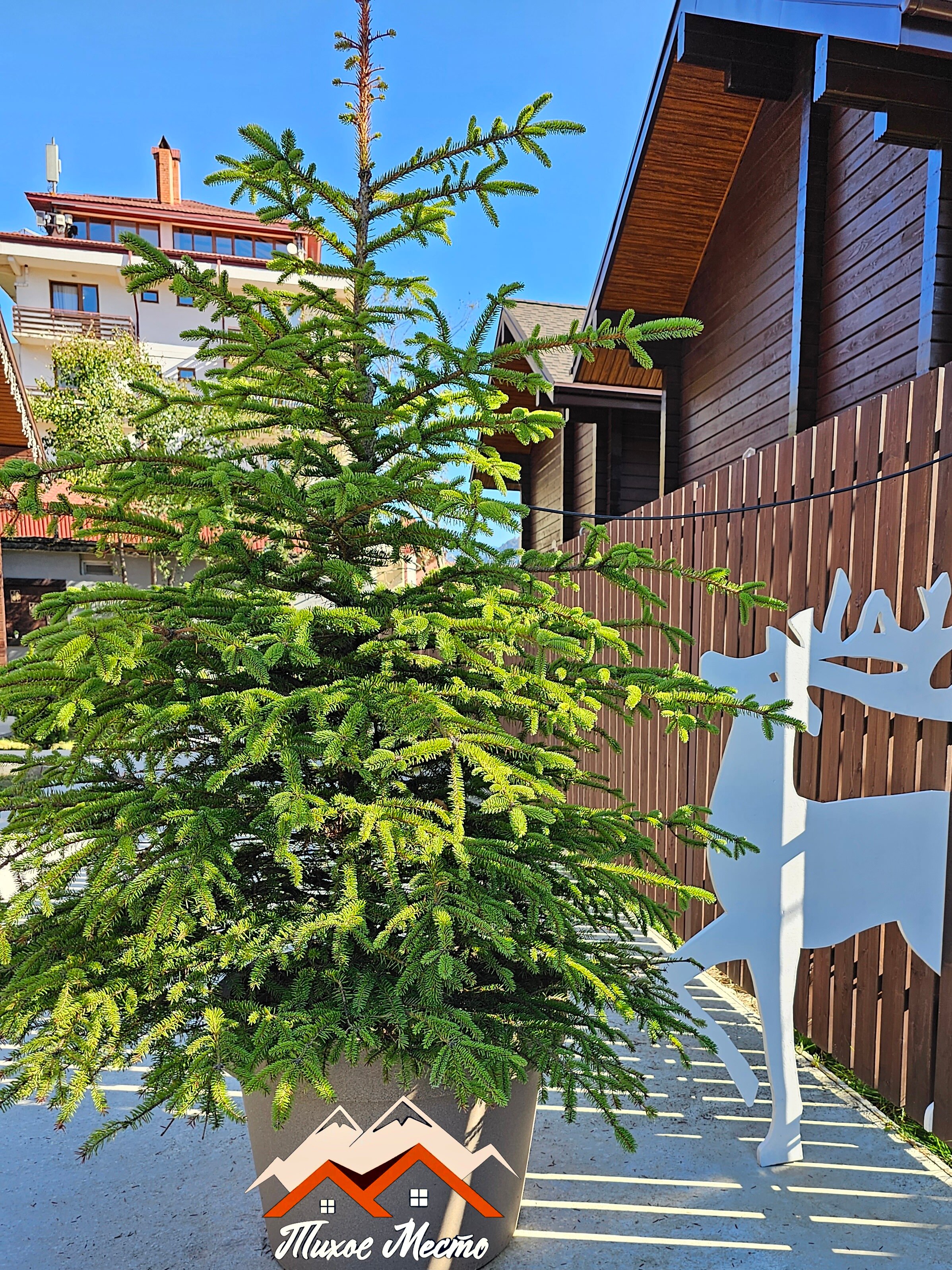 Фото Шале Тихое место